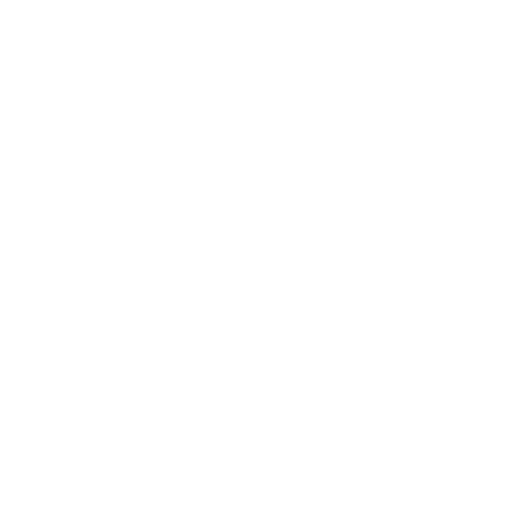 icon logo